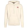 Basic hoodie Thumbnail