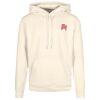 Basic hoodie Thumbnail